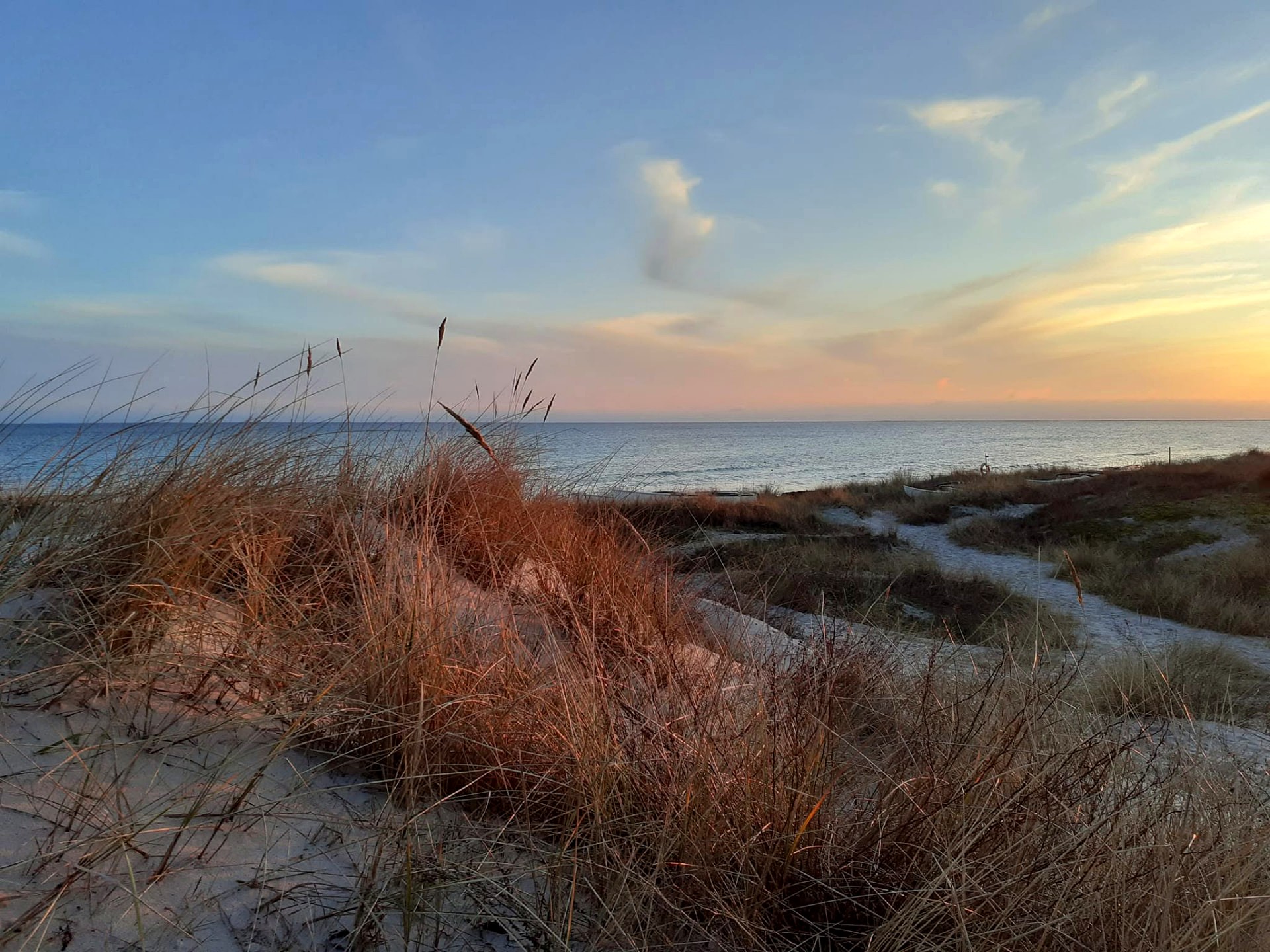 Strandängar i solnedgång vid havet